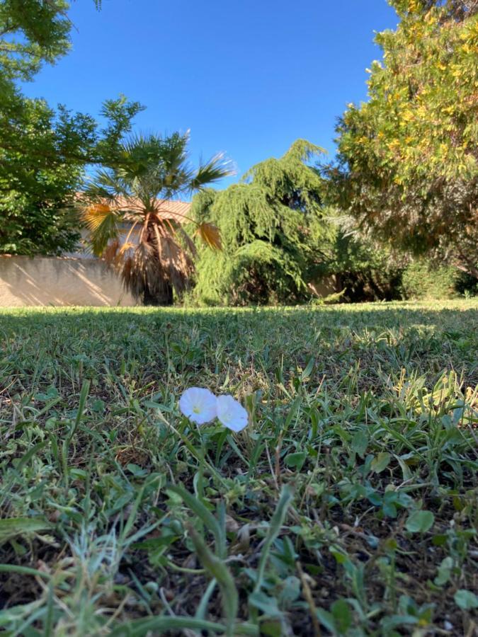 Apartamento le Garden Cocoon Istres Exterior foto